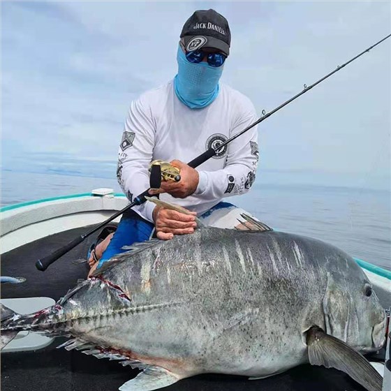 F系列海钓铁板鼓轮F50CH渔获，GT牛港鲹（澳大利亚钓场）