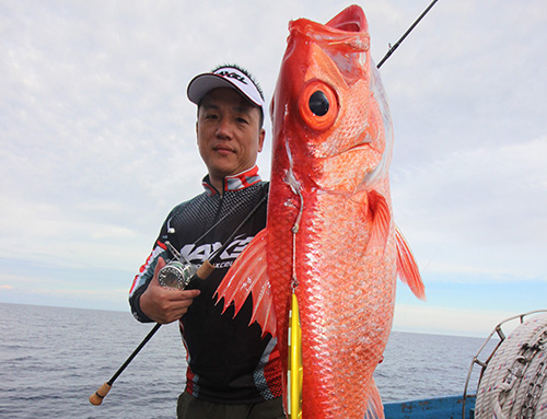 RP60慢摇钓竿+F系列鼓轮，长尾鸟（马来西亚钓场）