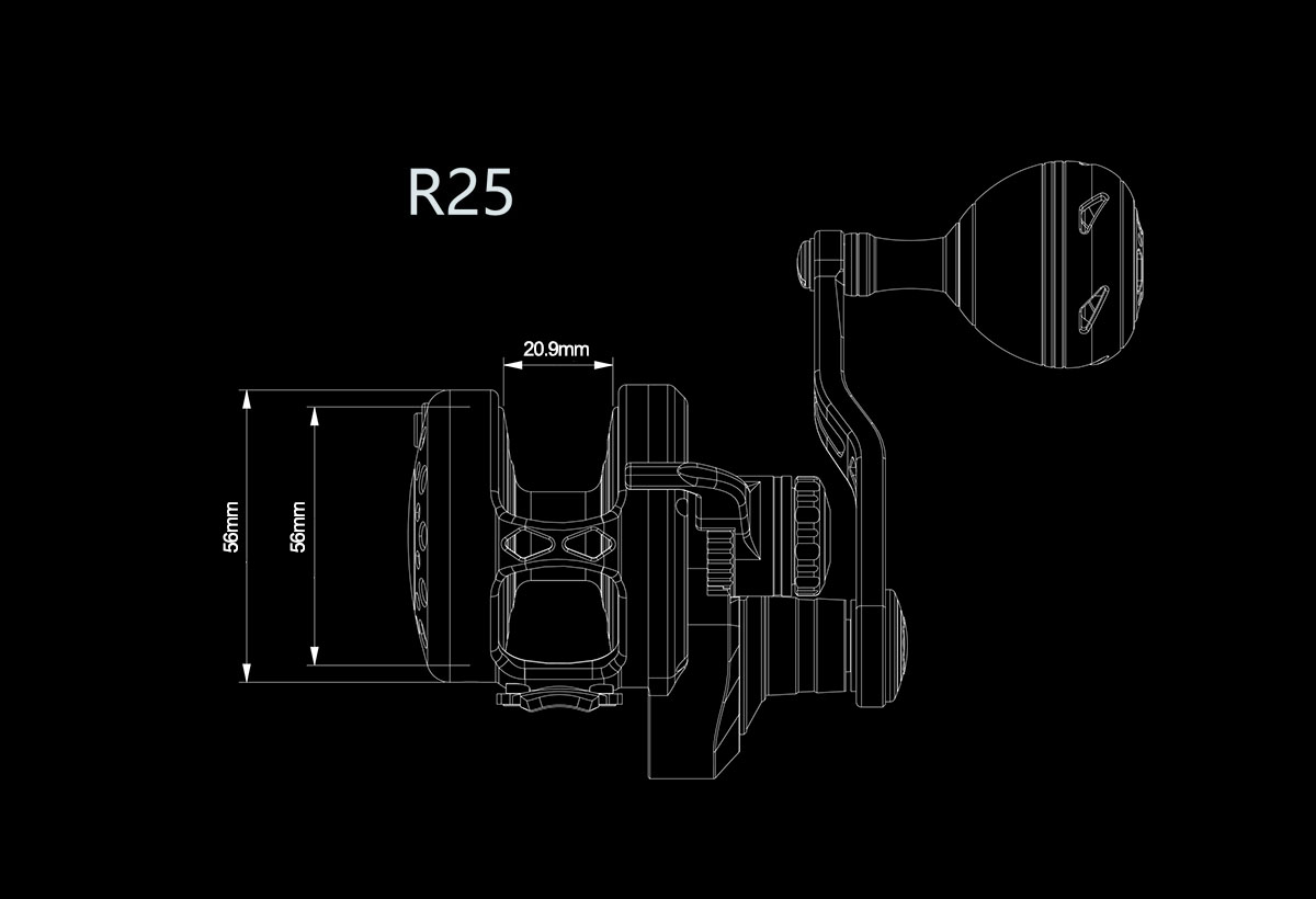 R25线条尺寸图